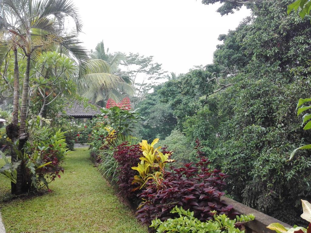 Villa Alam Surya Ubud Luaran gambar