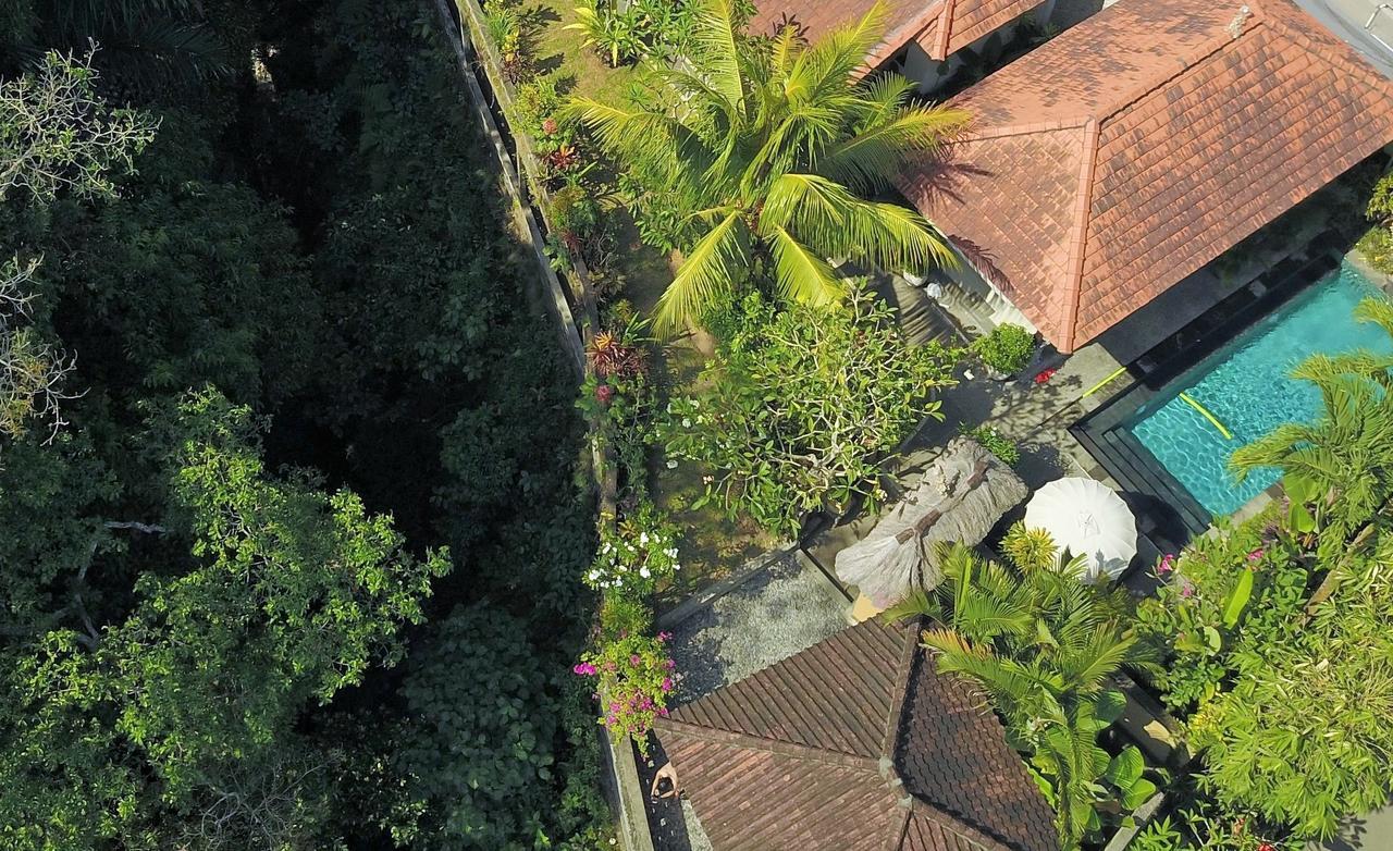 Villa Alam Surya Ubud Luaran gambar
