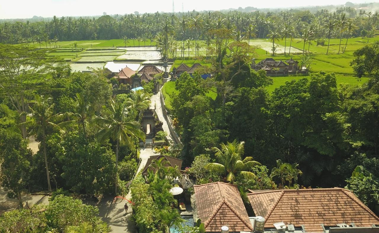 Villa Alam Surya Ubud Luaran gambar