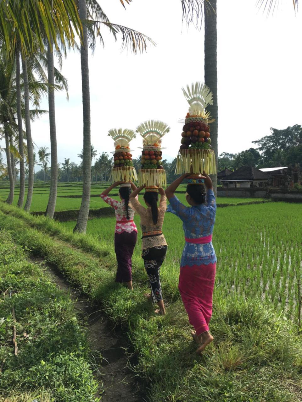Villa Alam Surya Ubud Luaran gambar